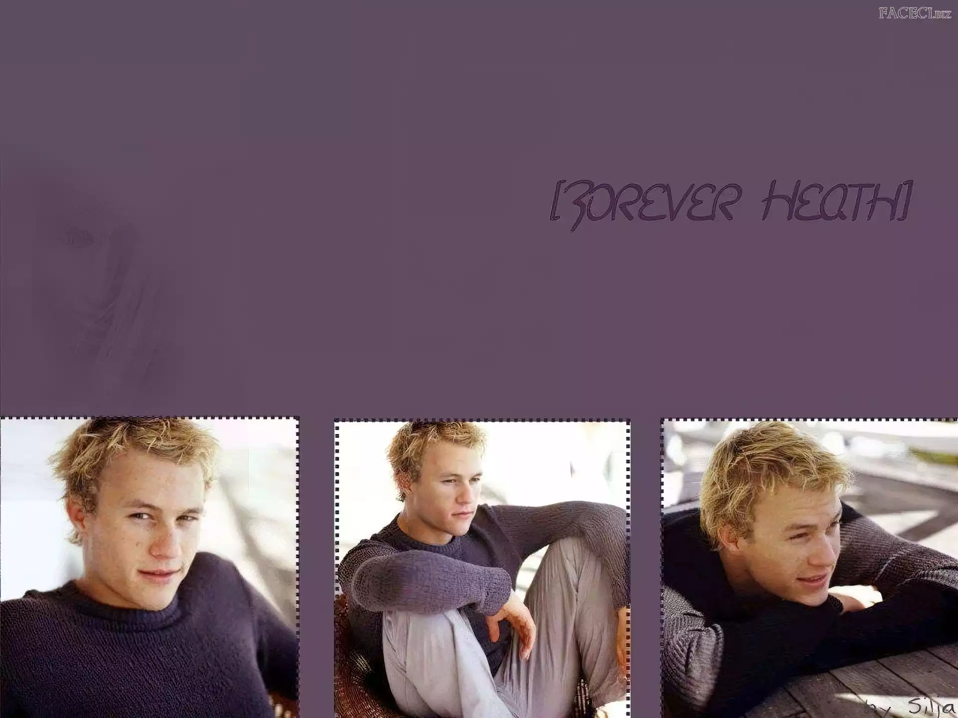 szary sweterek, Heath Ledger, jasne włosy